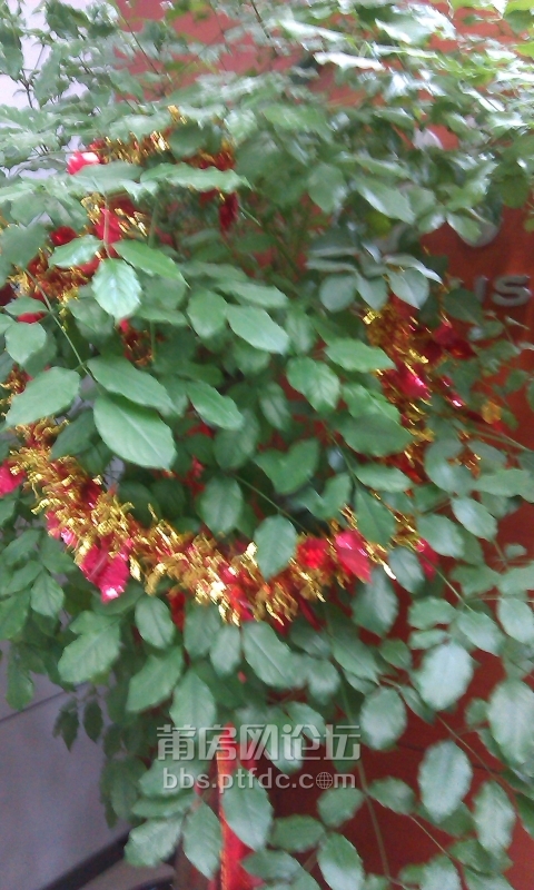 IMAG0359.jpg