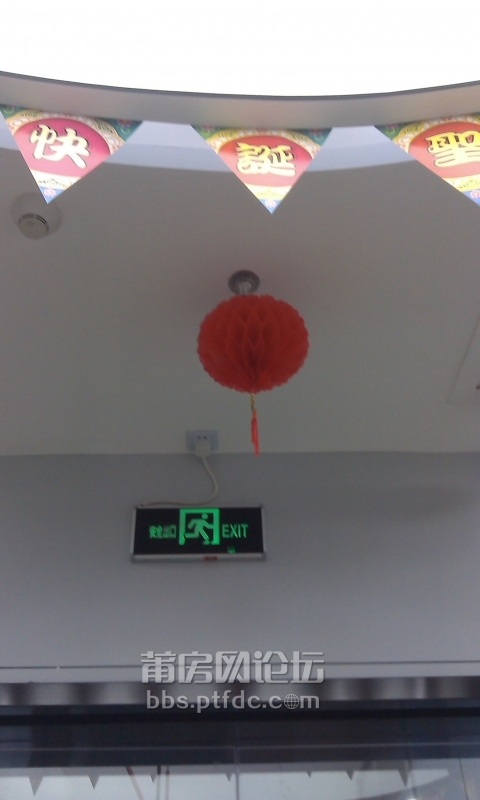IMAG0361.jpg