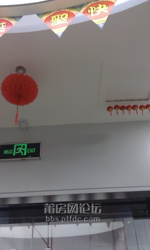 IMAG0362.jpg