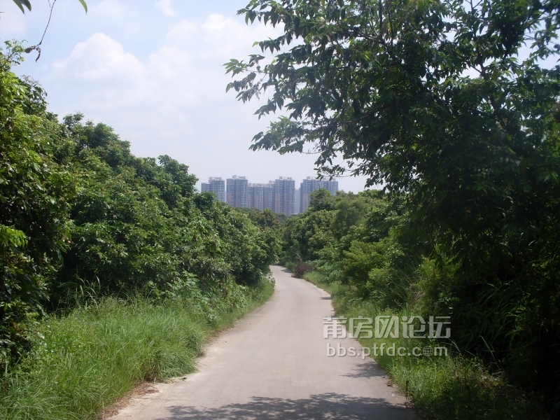 小道两旁瓜果飘香