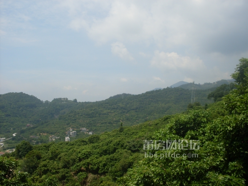 SDC14105.JPG