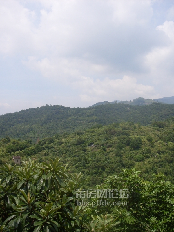 SDC14108.JPG