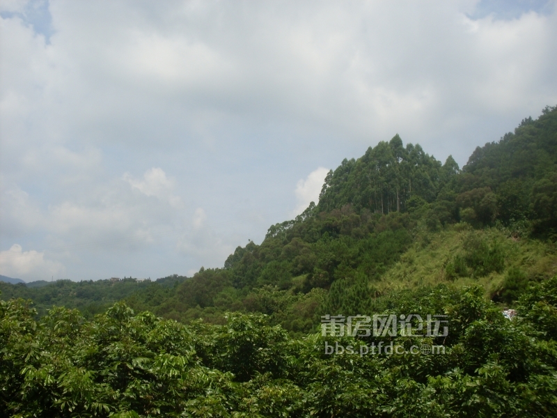 SDC14112.JPG