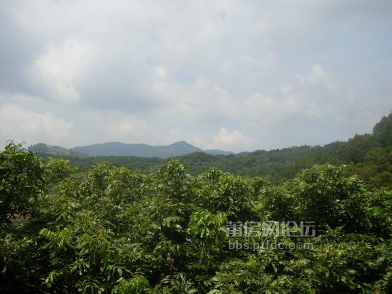 远处青山