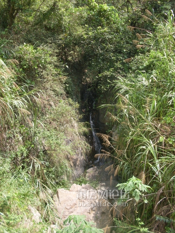 SDC14114.JPG