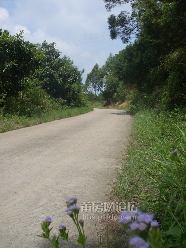 SDC14120.JPG