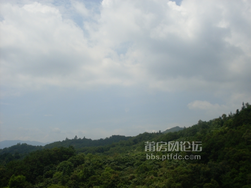 SDC14126.JPG