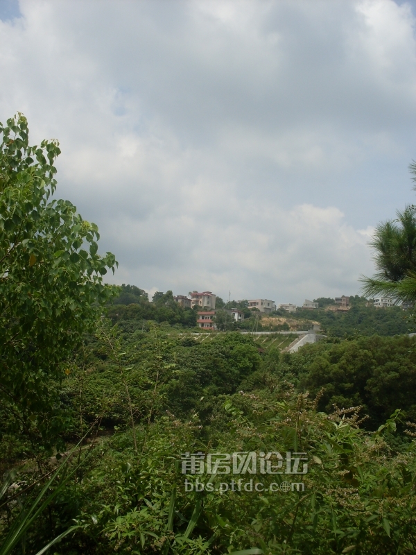SDC14128.JPG