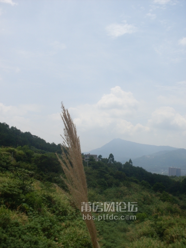 SDC14144.JPG