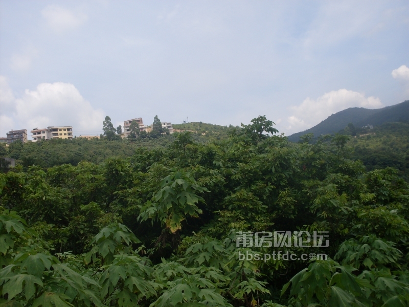 SDC14149.JPG
