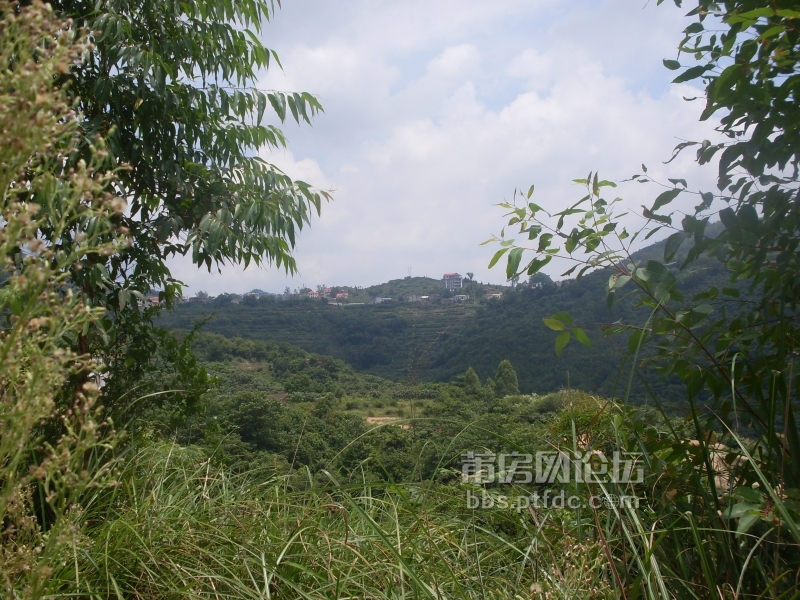SDC14158.JPG