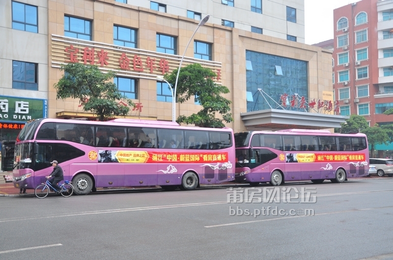 nEO_IMG_DSC_0081.jpg