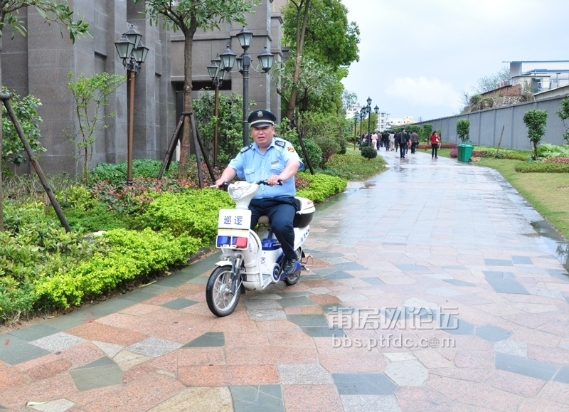 nEO_IMG_DSC_0146.jpg