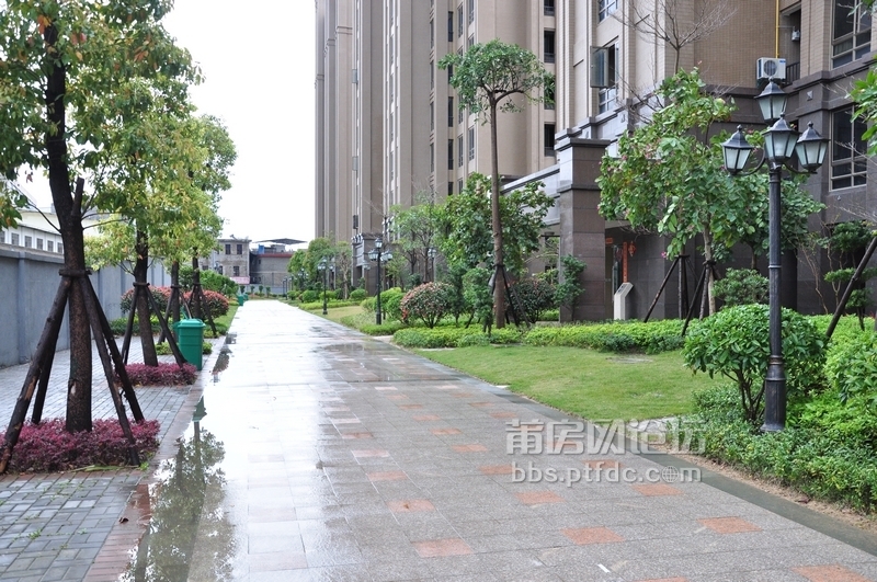 nEO_IMG_DSC_0152.jpg