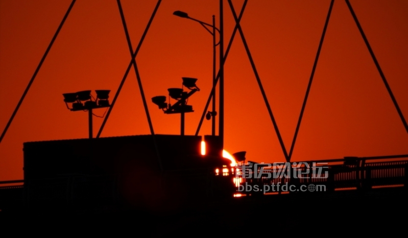 DPP_0007.JPG
