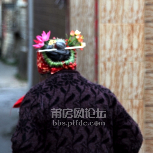 DPP_0016.JPG