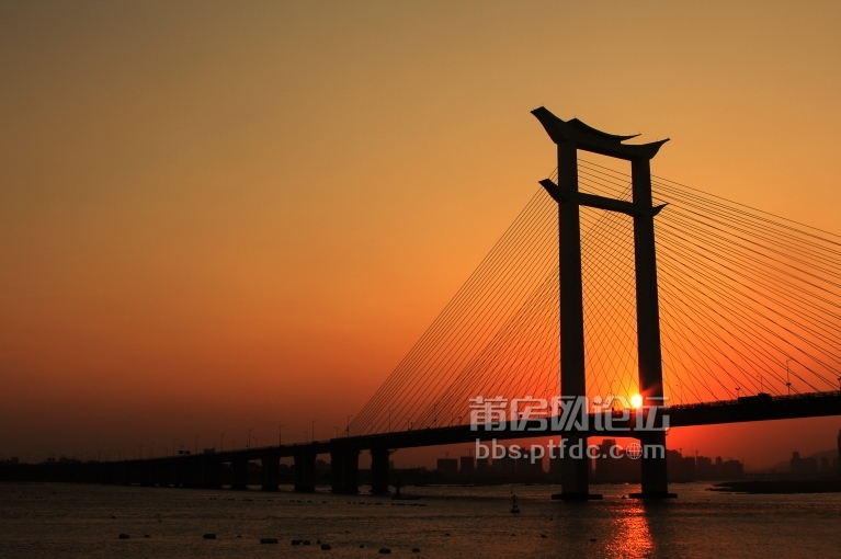 DPP_0017.JPG