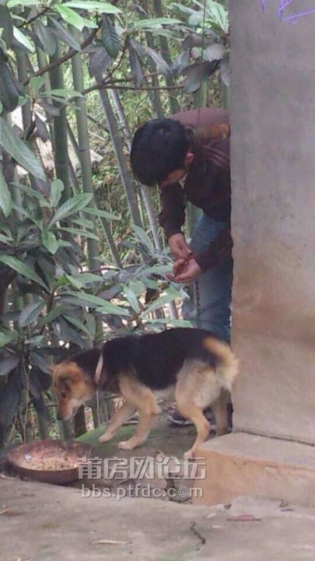 QQ图片20140408081902.jpg