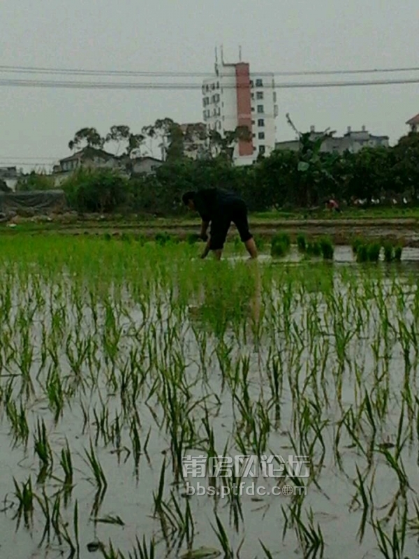 莆房网论坛_20140421_082113.jpg