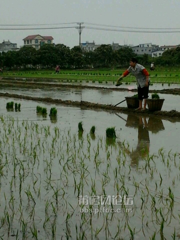 莆房网论坛_20140421_082334.jpg