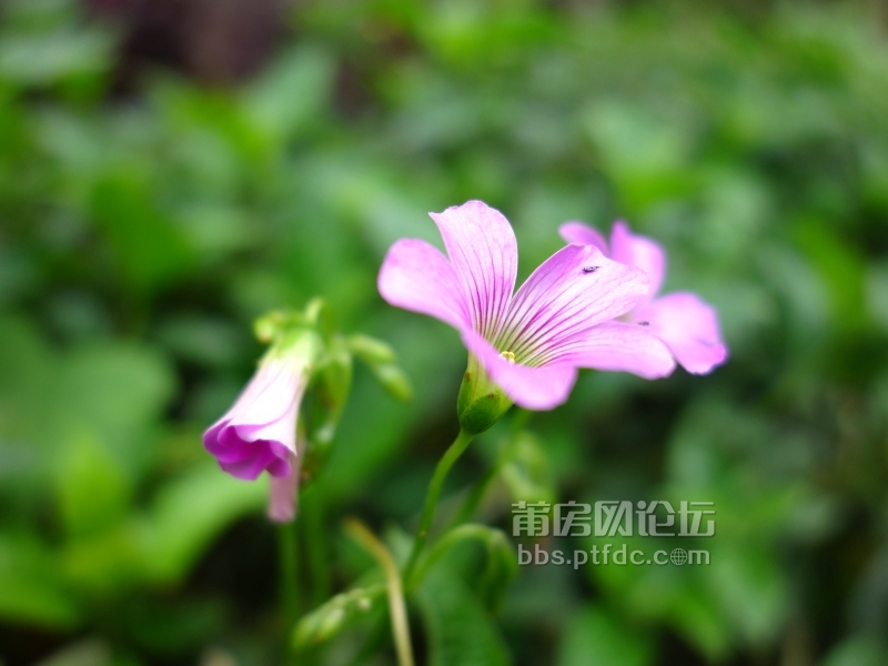 DSC03794_副本.jpg