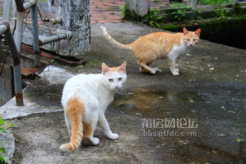 东圳水电站