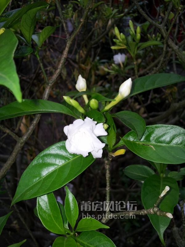 20140528_175434.jpg