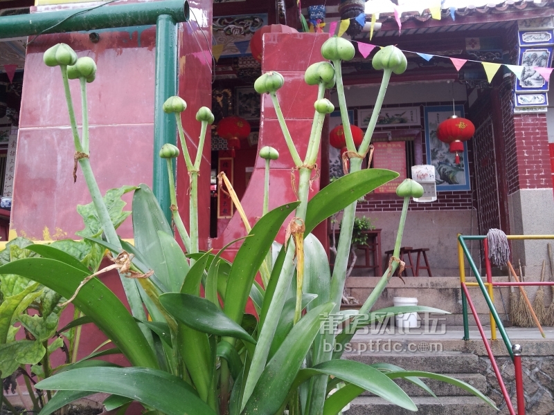 20140528_175541.jpg