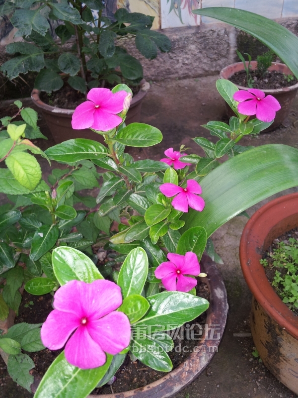 20140528_180250.jpg