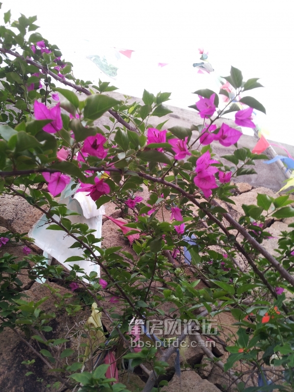 20140528_181036.jpg