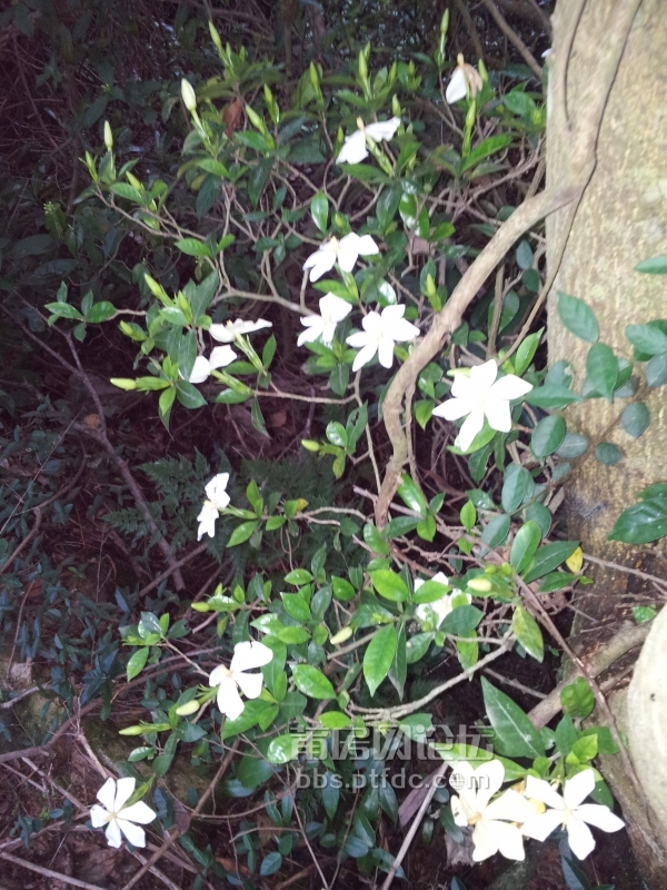 20140528_182404.jpg