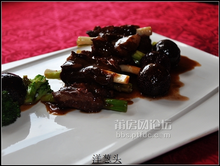 照片 010.jpg