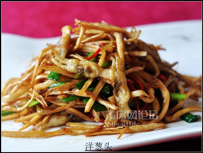 照片 073.jpg