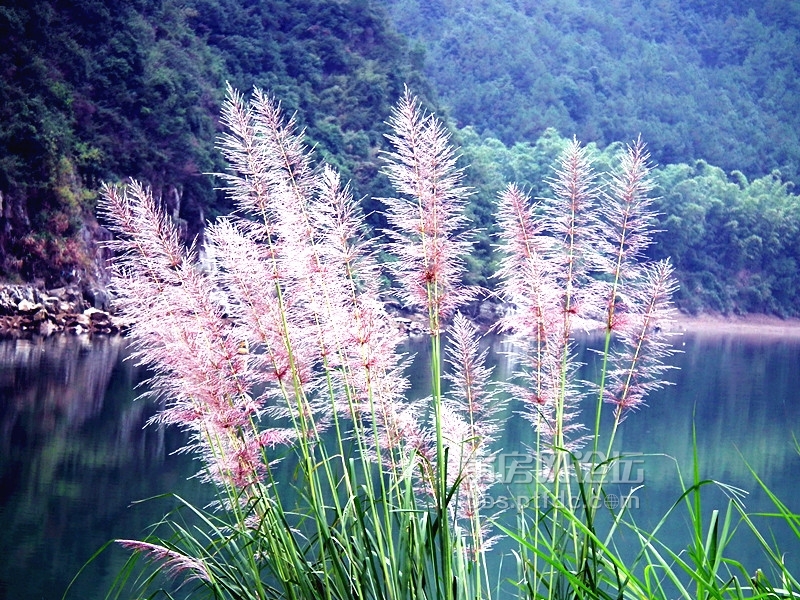 惬意2013之偶游永泰大樟溪.jpg