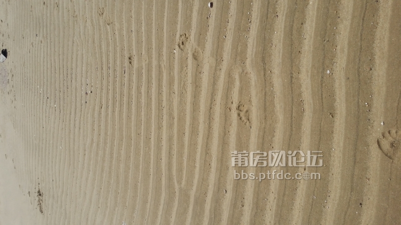 20140703_133956.jpg