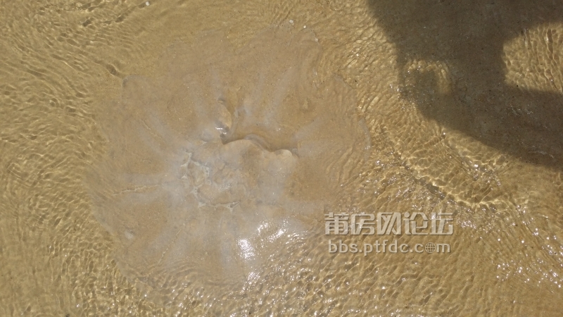 20140703_134450.jpg