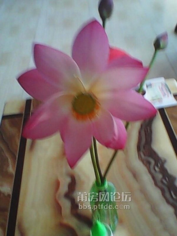 QQ图片20140705103450.jpg