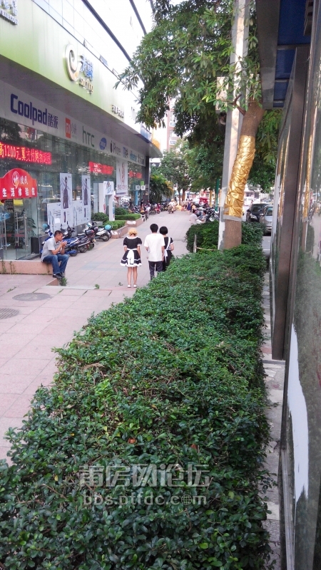 IMG_20140627_181010.jpg