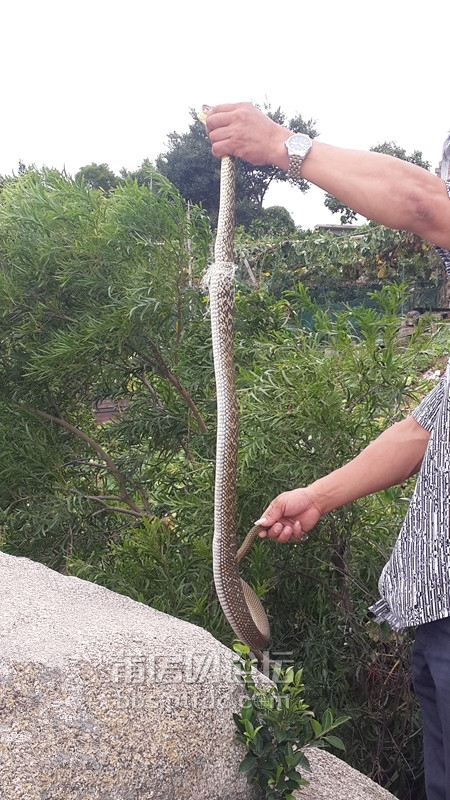 20140724_094316_副本.jpg