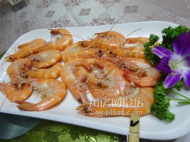 DSC03429.JPG