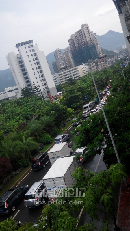 IMG_20140808_165353.jpg