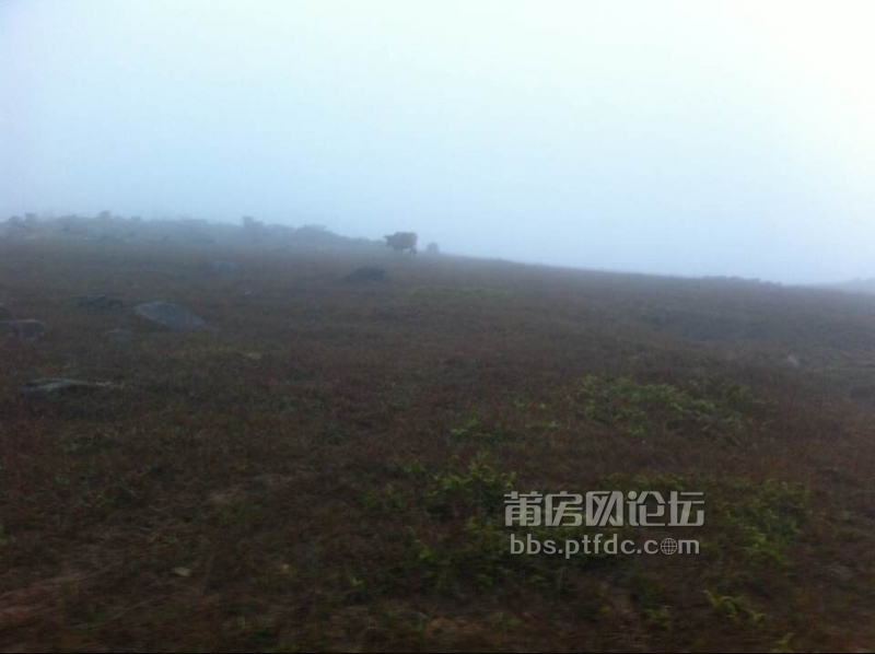 清晨雾茫茫