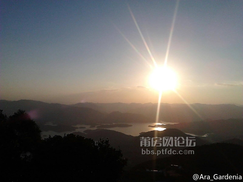 img-308a1b2f2aaab56b574a0ee7a81c2f57.jpg