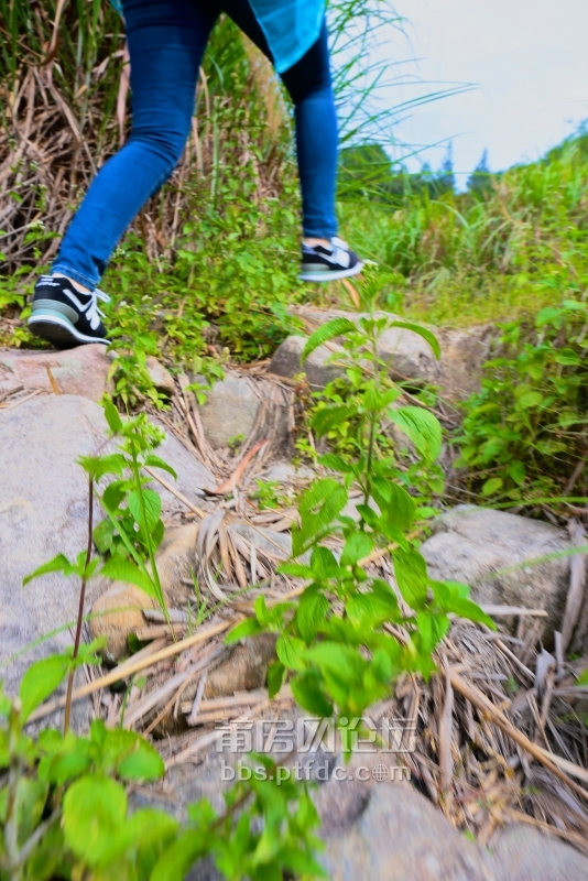 我曾经跨过山和大海，