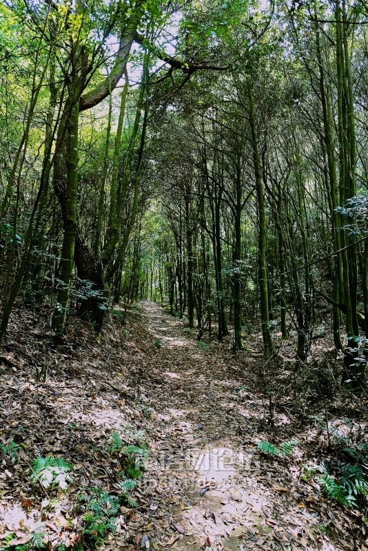 这地不错，等着美女来出些“大片”