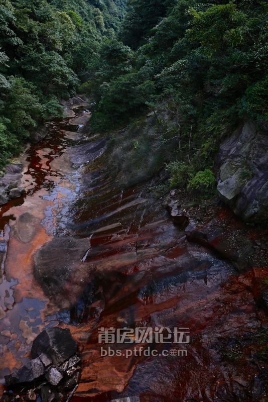 一边是水塘枯木，一边是红岩峭壁。