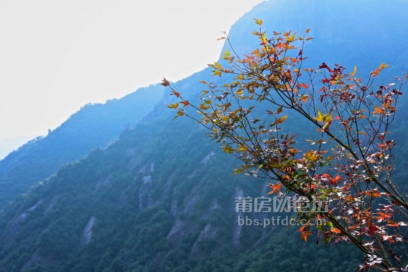 我只要一停下来拍景，大部队瞬间就无影了。