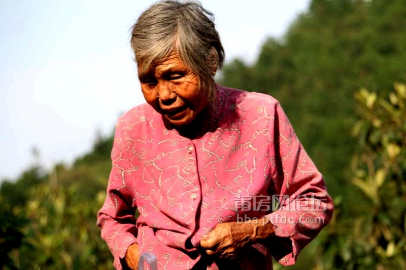 在我三个月多大奶奶就去世了；所以从小到大外婆和奶奶在我眼里就是一个人。