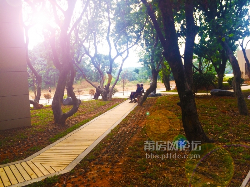 QQ图片20141105093339.jpg