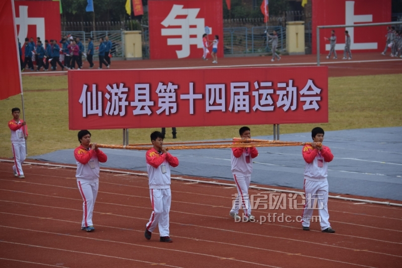 DSC_0050_调整大小.JPG